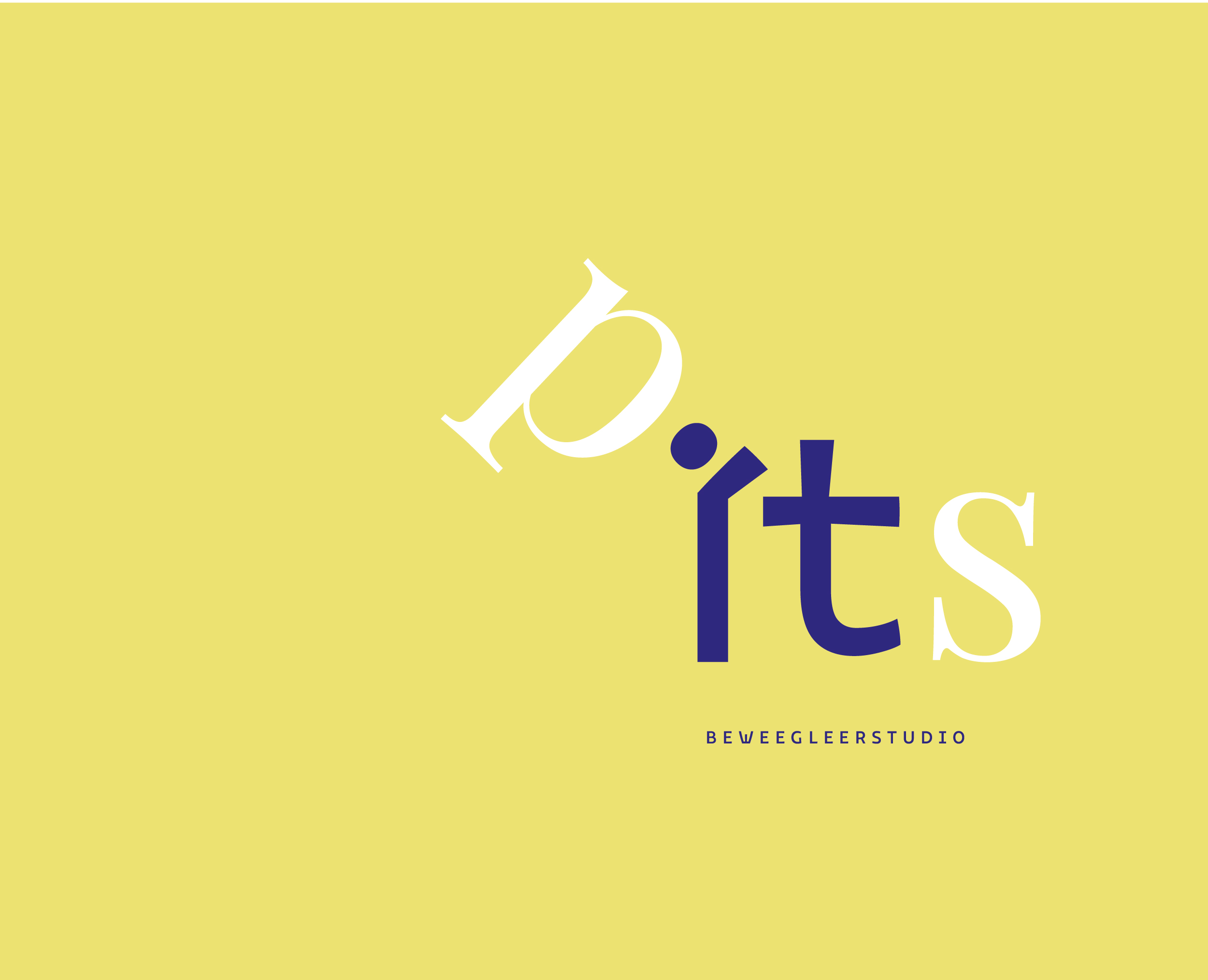 Work Case Hummingbirds: Play It Smart - Strategy, Merkpositionering, Branding, Iconen & illustraties, Huisstijl