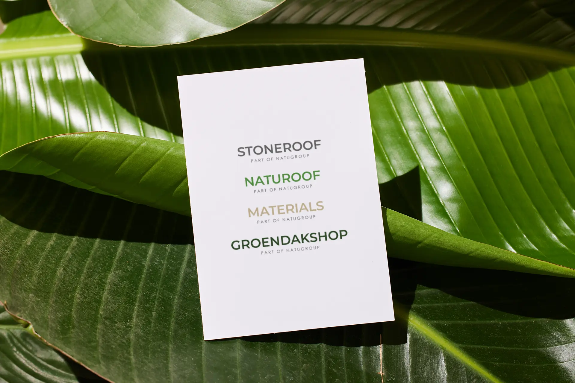 Work Case Hummingbirds: Naturoof - Huisstijl, Mailing campagnes, Data tracking, Webdesign, Webdevelopment, Digital marketing, Graphic Design