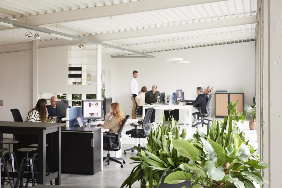Hummingbirds, jouw marketingbureau in West- en Oost-Vlaanderen.