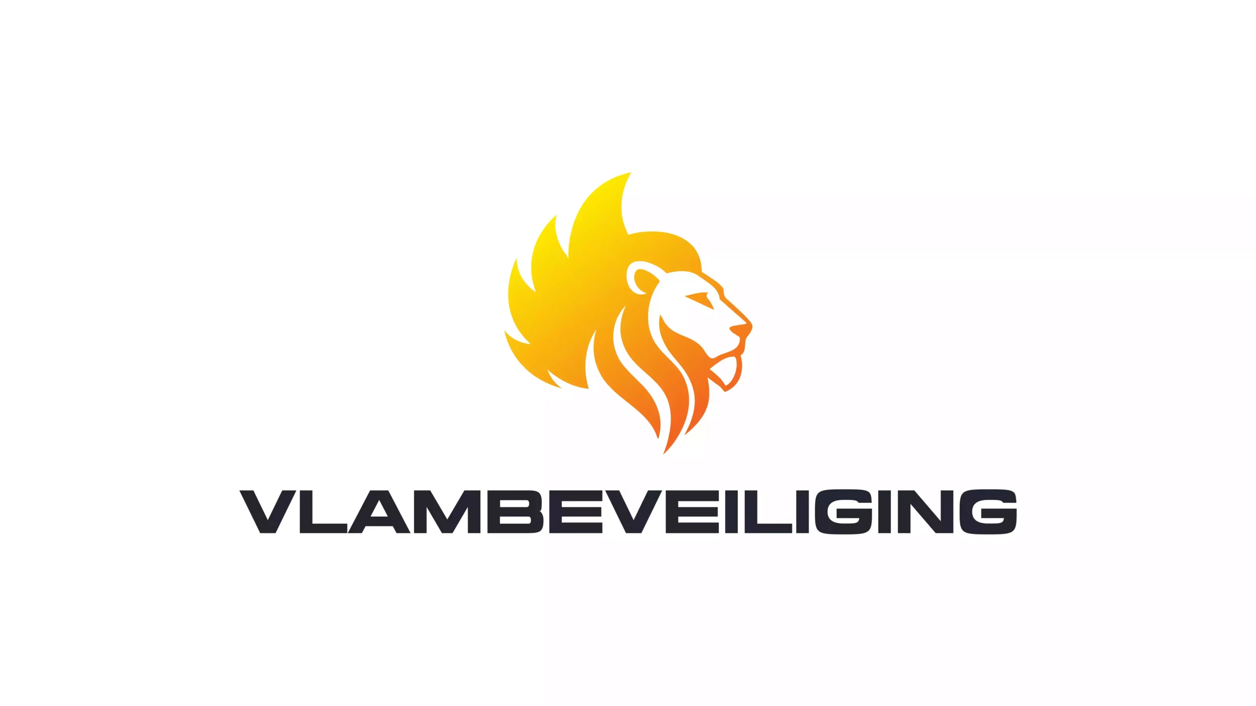 Work Case Hummingbirds: Vlambeveiliging - Strategy, Merkpositionering, Branding, Graphic Design, Visitekaartjes, Huisstijl, Websites, Domeinregistratie, Webdesign, Webdevelopment