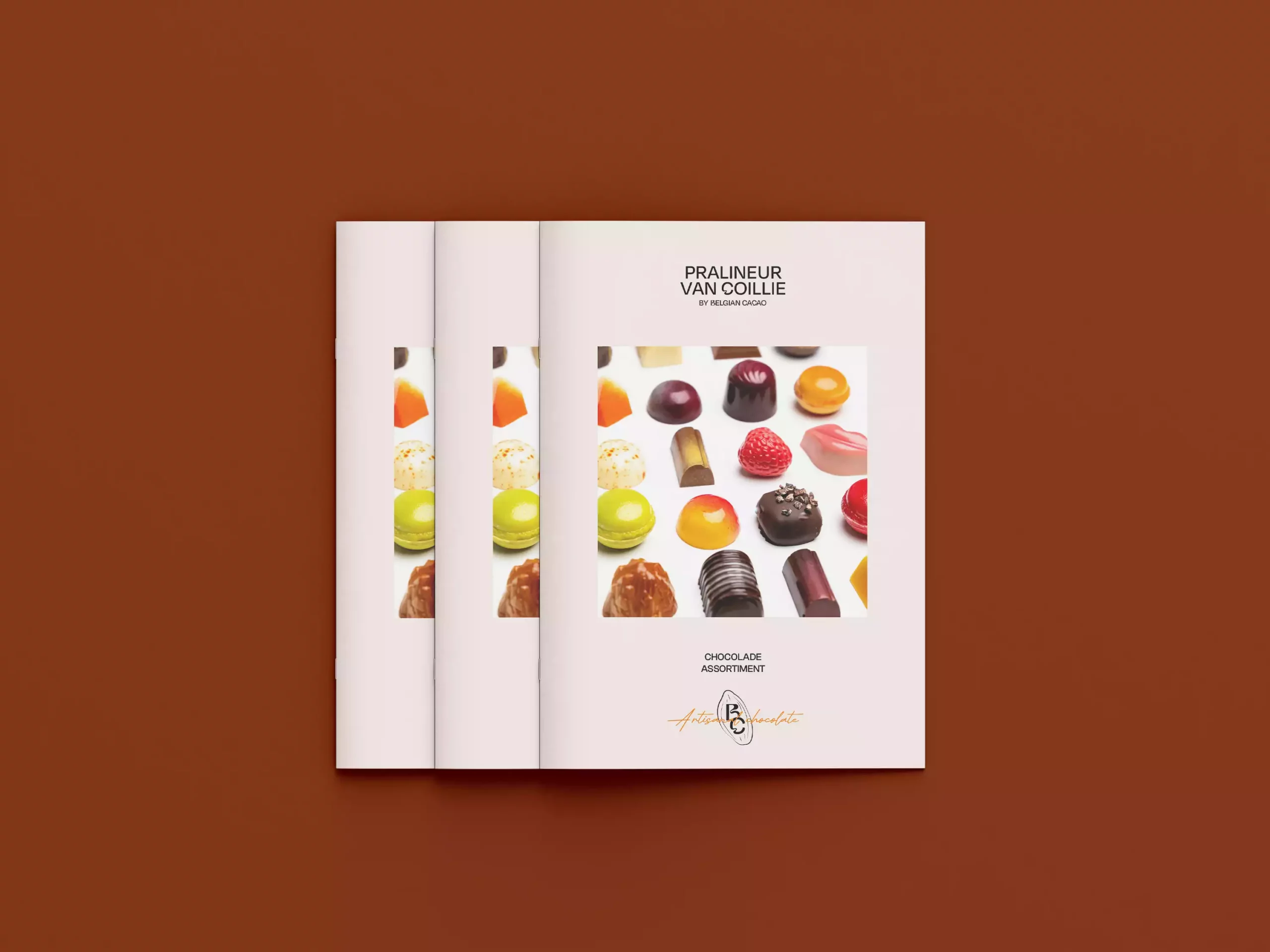 Work Case Hummingbirds: Pralineur Van Coillie - Fotografie, Brochures, Graphic Design