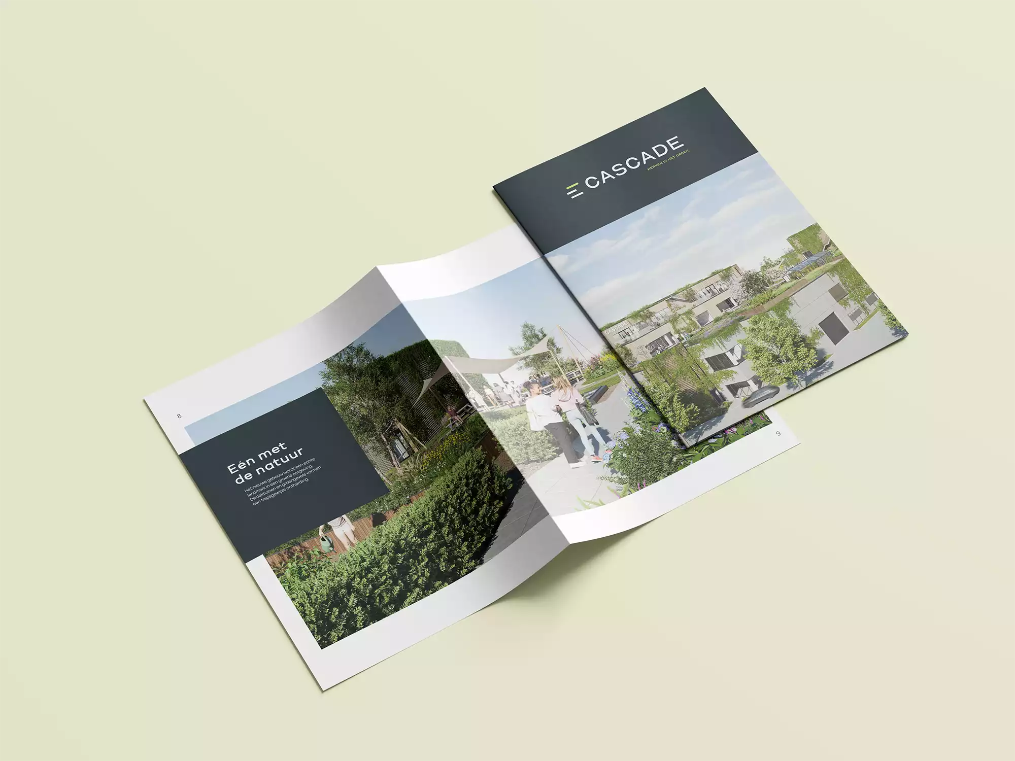 Work Case Hummingbirds: Cascade - Social media marketing, Websites, Webdesign, Webdevelopment, Graphic Design, Huisstijl, Visitekaartjes, Brochures, Branding