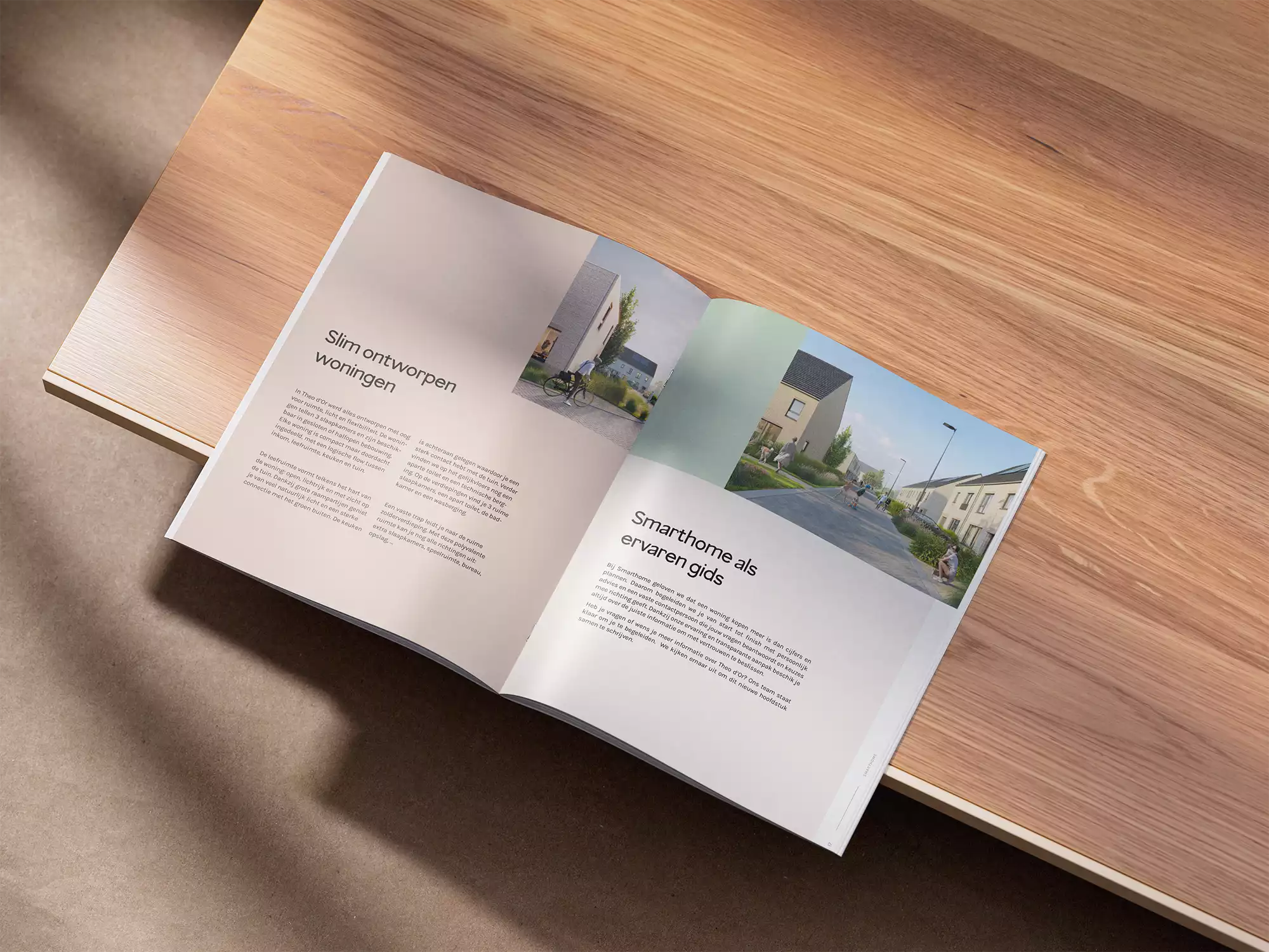 Work Case Hummingbirds: Theod’Or - Namesearch & baseline search, Branding, Signalisatie & belettering, Brochures, Huisstijl, Graphic Design